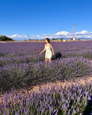 Jessie Fong Win-Lam Instagram - 今年終於可以7月嚟薰衣草田留倩影🤭

#lamlam✈️
#震懾眼球
#薰衣草
#lavender