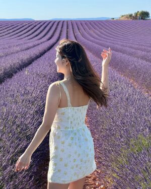 Jessie Fong Win-Lam Instagram - 今年終於可以7月嚟薰衣草田留倩影🤭

#lamlam✈️
#震懾眼球
#薰衣草
#lavender