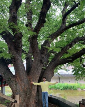 Ji Hyun-woo Instagram - 800년이 넘도록 저 자리에서 마을을 지켜주고 계시는 수호신🙏🌳