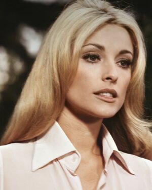 Jillian Warry Barberie Instagram - Some of my favorite pics of #SharonTate as we celebrate her life tmrw on the Joyride. It was 55 years ago August 9 (Friday) the ultimate nightmare happened. Sharon would be 81. Her sister Debra Tate has been in a parole hearing all day today (yes, they still try to get out and some do like Leslie Van Houten) why should decent people have to continue to relive this tragedy 55 years later? Tmrw I’ll be sharing some inside stories about the making of Once Upon A Time In Hollywood and other insights into Sharon’s world through the eyes of her sister. Deb has given me permission to share some of these stories with you. The picture hanging in the photo is a massive piece of art gifted to me by Deb. It was the cover of her beautiful coffee table book  Recollections. I’ll also be sharing some of Sharon’s personal items and talking about the auction that I helped curate of her life. Time to celebrate these young beautiful people and also talk about the events of that night and where we are today in the case. Yes it continues………… #sharontate #anniversary #mansonmurders #55years #celebrationoflife 💛