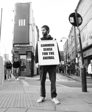 Jim Sturgess Instagram - What is Common Sense For The Animal ?? 

Album OUT NOW !! 

KING CURIOUS - ‘Common Sense For The Animal’

OUT EVERYWHERE 

Vinyl (  signed copies) - available at the LINK IN BIO 

All vinyl shipped worldwide 🌍