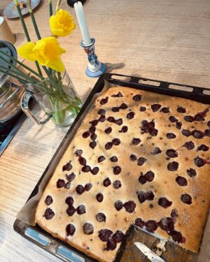 Jimmy Kelly Instagram - Was gibt es schöneres, als an einem Samstag in die Küche zu kommen und es duftet schon nach frischgebackenem Kuchen? 🍒🥰🥧 

Meine liebe Frau hat uns einen Kirschkuchen nach einem alten Familienrezept gebacken und das halbe Blech war schon nach 10 Minuten weg…😍

Wer Lust auf einen saftigen Kirschkuchen hat, findet hier das Rezept:

250g Butter
250g Zucker 
4 Eier
1 Pck. Vanillezucker (alles schaumig schlagen!)
500g Mehl
1Pck. Backpulver
und Milch zu einem geschmeidigen Teig verrühren.
(Die Milch kann auch durch Eierlikör ersetzt werden, dann ist der Kuchen eher für Erwachsene 🤪)
Eine Tafel Zartbitterschokolade zerkleinern und unter den Teig heben.
Alles auf ein gefettetes Backblech geben und noch 1 Glas Kirschen (vorher abtropfen lassen!) auf dem Teig verteilen.
Bei 180 Grad für 35 Minuten auf die mittlere Schiene in den Backofen, Sahne dazu schlagen und fertig ist der perfekte Wochenendkuchen! 😌🙌🏼 Einen guten Appetit! 🤤

Einen schönen Samstag,
God bless, Euer Jimmy 

#jimmykelly #jimmykellyandthestreetorchestra #ifeelloved #wegotlove #cakelove #cherrycake #kirschkuchenrezept #welovesomegoodcake #weekendvibes #instagood #instabaking