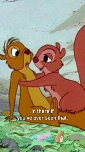 Joey Lawrence Instagram - #waltdisney #squirrel only on the @officialbrotherlylovepod this week will we talk about both 😂🐿️