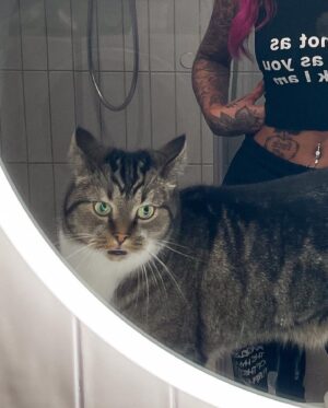 Johanna Ottosson Instagram - that’s my cat