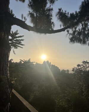 John Glover Instagram - It’s the first day of summer today!