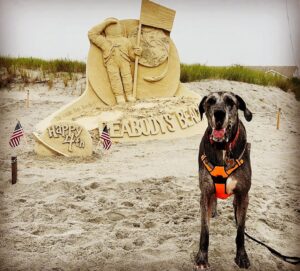 John Heilemann Instagram - Namaste, peeps, and Happy 4th — on which #dzadognyc @gangsteroflovenyc is celebrating his own (physical) independence after 3 restful & rehabilitative but romp-free months following his second successful acl surgery courtesy Dr Pamela Tha God Schwartz at @amcny. And I’ll tell you: He is one *very* exhausted but *very* happy doggo right now. #gangsteroflove #backinthenewyorkgroove #dontcallitacomeback #backinblack 🐶🐾🐾🌊🇺🇸🖤🤍