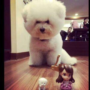 Actress Jolin Tsai HD Instagram Photos and Wallpapers August 2024