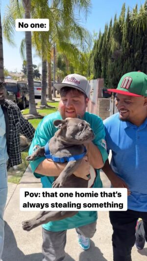 Jonah Antonyan Instagram - Bro is always up to no good 🤣 @southsidenova @theclassics96 @ayee_armen