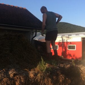 Jonatan Unge Instagram - Serbien. Igår skyfflade vi hö. Idag skyfflade vi/bara Branne skit. Imorgon ska vi plocka plommon.