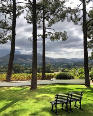 Jono Grant Instagram - Nice bench