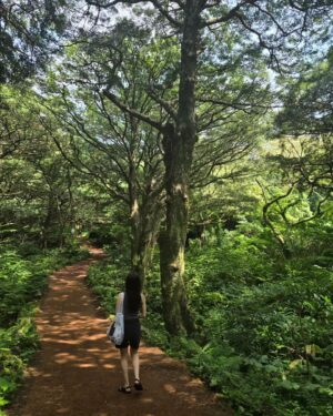 Joo Hyun-young Instagram - 늦은 밤의 수다도 참 좋았고 땀흘리며 천천히 걸었던 것도, 정신없이 바다에서 보낸 시간들도 전부 좋았다. 그리고 우연치 않게 만난 사랑스러운 제주 사람들 모두모두! 틈새 제주 공략 성고옹