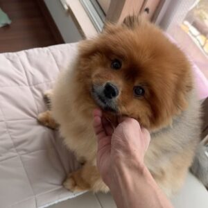 Joo Woo-jae Instagram - 무려 7년만에 촬영한 프로필 사진
네이버 프로필 몇번으로 바꿀까요🧐

아, 마지막은 영상 프로필 🐻