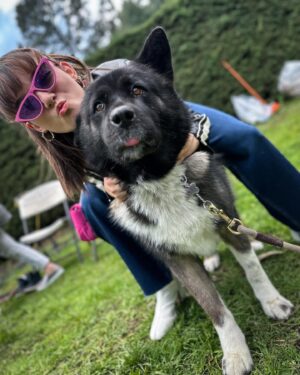 José Ron Instagram - El amor transforma ❤️ 
Esteriliza 
No abandones 
Adopta 
No compres de los criaderos