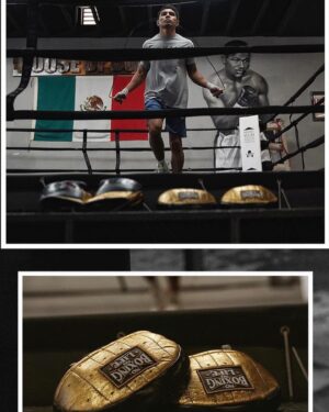 Joselito Velazquez Instagram - Gracias a Dios un día más de trabajo duro. Estamos listos para este 24 de noviembre en Cancún. 🇲🇽🫡 @noboxing_no_life  @realfighterbrand #noboxingnolife

📸 @shot.by.fabi