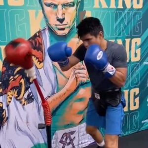 Joselito Velazquez Instagram - Siempre pienso positivo. #noboxingnolife  #boxing #vivamexico 🇲🇽