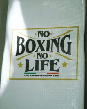 Joselito Velazquez Instagram - @joselitovelazquez listo para su pelea el día de mañana con @noboxing_no_life en sus 🥊
.
.
.
#shotbyfabi #caneloteam #noboxingnolife #box #boxeo #boxing #mexico