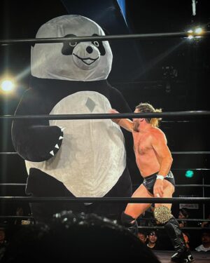 Joseph Janela Instagram - I went almost bleeding out last @gamechangerwrestling Japan tour to Wrestling a 12 foot Panda on this tour… 

The Beauty of Professorial Wrestling! 

📸: @ kemurist - Twitter
@weekly_pro_wrestling 
@ sekibooon -Twitter 

#prowrestling #Japan #Tokyo #pandasofinstagram  #🐼 #GCW