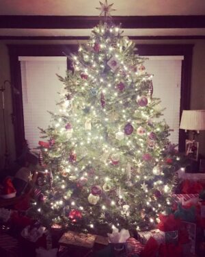 Joslyn Fox Instagram - Merry Christmas!!! My favorite time of year has finally come and is soon to pass. As sad as I am to see it fade away, I feel so very content to have spent it surrounded by family and friends.

I like to think that my tree is a good visual of just how bright and full my heart feels right now.

I hope you all have had a season of warmth and happiness, with hope for better things to come in 2019.

Wishing you a Merry Christmas and a Foxy New Year!

#christmastree #christmas #worcester #worcesterma