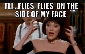 Joslyn Fox Instagram - Made this because this is just where my mind went. 🤷🏻‍♀️ #presidentialdebate #vicepresidentialdebate #kamalaharris #mamala #flypencedebate #pencefly