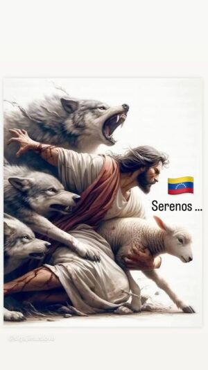 Juan A. Baptista Instagram - Venezuela 🇻🇪 Fe en causa 🐈🏅🌎 Sabios y Soliodos …👀🦋…