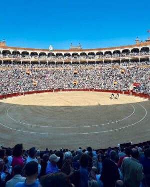Juanfe Sanz Instagram - Día de toros, día de fiesta 🇪🇸 
📍 Las Ventas 

#lasventas24 #toros #fiestanacional #workout #madeinspain🇪🇸