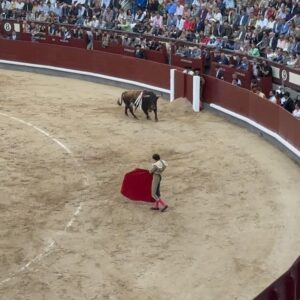 Juanfe Sanz Instagram - Día de toros, día de fiesta 🇪🇸 
📍 Las Ventas 

#lasventas24 #toros #fiestanacional #workout #madeinspain🇪🇸