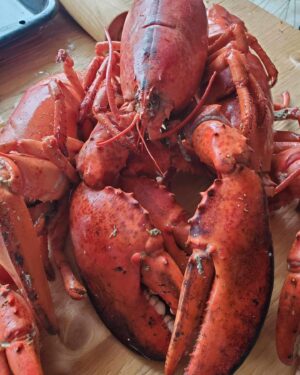Julie Bélanger Instagram - La Côte-Nord.
La famille.
Les vacances.
Tout ça m’a fait un bien fou.
Merci ❤️🦞💫