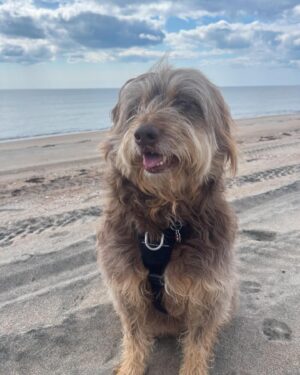 Julie Bélanger Instagram - La Côte-Nord.
La famille.
Les vacances.
Tout ça m’a fait un bien fou.
Merci ❤️🦞💫