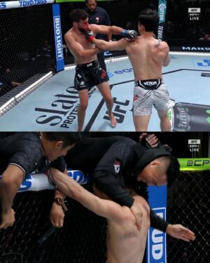 Jung Chan-sung Instagram - ‘The Korean Superboy’ Doo Ho Choi got the finish and then celebrated with ‘The Korean Zombie’ 💥