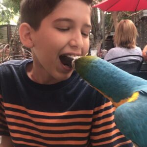 Kadan Rockett Instagram - Fun hanging out today in Arizona with @halfdan5 from America's Got Talent and @eikibird !! Check out these videos & pics!! #KidMagician #swordswallower #KidMagicians #swordswallowing #ExoticBird #ExoticBirds #Parrot #Parrots #parrotsofinstagram #parrotlover #parrotlove #sword #swords #AGT #AmericasGotTalent #AGTFamily #ThePerch #birdtraining #birdsanctuary #FeedTheBirds