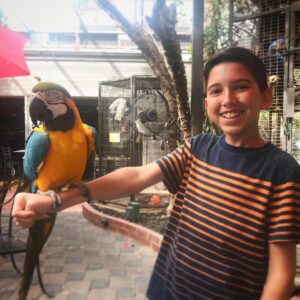 Kadan Rockett Instagram - Fun hanging out today in Arizona with @halfdan5 from America's Got Talent and @eikibird !! Check out these videos & pics!! #KidMagician #swordswallower #KidMagicians #swordswallowing #ExoticBird #ExoticBirds #Parrot #Parrots #parrotsofinstagram #parrotlover #parrotlove #sword #swords #AGT #AmericasGotTalent #AGTFamily #ThePerch #birdtraining #birdsanctuary #FeedTheBirds