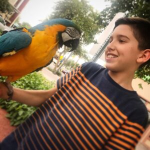 Kadan Rockett Instagram - Fun hanging out today in Arizona with @halfdan5 from America's Got Talent and @eikibird !! Check out these videos & pics!! #KidMagician #swordswallower #KidMagicians #swordswallowing #ExoticBird #ExoticBirds #Parrot #Parrots #parrotsofinstagram #parrotlover #parrotlove #sword #swords #AGT #AmericasGotTalent #AGTFamily #ThePerch #birdtraining #birdsanctuary #FeedTheBirds