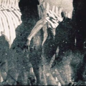 Kane Parsons Instagram - 「The Rumbling」#cgi #vfx #attackontitan #shingekinokyojin #aot #attackontitanedit #visualeffects #ww1 #snk #blender #aftereffects
