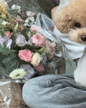 Kang Hye-won Instagram - 