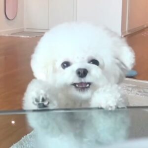 Kang Min-kyung Instagram - 입안에 밥알 두 개 찾았다