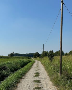 Karel Kovář Instagram - Call me by your name. Oba jsme ho četli i viděli. Jeden z nejkrásnějších filmů je to i díky místům, kde se natáčel. A tak jsme se rozhodli krátký letní výlet strávit v jeho kulisách. Knižní “Somewhere in northern Italy” je ve filmu město Crema a jeho okolí. Po čtyřech nocích a kupě výletů tohle jmenujeme dokonalým letním výletem! V samotné Cremě najdete celou řadu lokací, asi nejznámější jsou dveře jen kousek od náměstí (viz první fotka). Po stopách filmu projedete krásné uličky, náměstí i zákoutí, která byste jinak možná minuli. Samotná Crema je ideální. Tak akorát velká, aby vám tu bylo útulno, tak akorát živá, abyste neměli pocit, že tu chcípl pes. No a pak přichází výlety! Nejdříve Sirmione u Lago de Garda, kam se Elio s tátou a Oliverem vypravili vyzvednout sochu ze dna jezera. Tam vás čeká práva “high season Itálie”, ale archeologické muzeum je oázou klidu a dalším místem, které z filmu dobře poznáte. Zbylé lokace zvládnete z Cremy i na kole, což je samo o sobě ve vztahu k filmu mega ikonický! Jezírko Sorgiva Quarantina je Eliovo “my place”, v reálu je hlavně místem místních, kteří se do ledové vody chodí osvěžit. Další nádhernou lokací je pomník Bitvy na Piavě v Pandinu, kde jsme se ve filmu dozvěděli, že Elio vlastně nic neví. Rozhodně ne o věcech, na kterých skutečně záleží ❤️‍🔥 V samotném městečku rozhodně pes chcípl, ale vesnické kouzlo mu dodaly trhy, kde jsme si málem koupili broskve, ale to už by bylo moc 🍑 No a zlatý hřeb je rozhodně Villa Albergoni. Ta je aktuálně v soukromém vlastnictví, ale její okolí a do dáli čnějící věžička vás okamžitě přenesou do atmosféry filmu, která je... Mimořádně autentická. Okolí Cremy prostě stojí za návštěvu a je krásné, že někdy díky filmům objevíte místa jinak prakticky neobjevitelná. Is it better to speak or die? Rozhodně speak: Pokud milujete CMBYN, užijete si tenhle výlet stejně jako my. We will remember everything 🤍 Later!

#callmebyyourname