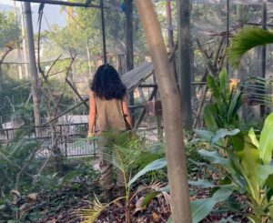 Karol Alves Instagram - Uma Aventura no Zoológico já tá no top3 Brasil, o 10° filme da minha carreira!!! E só poderia vir (e veio) de forma muito especial, esse filme é diferente de todos e guardo com muito carinho tudo que vivi e aprendi durante as filmagens! Elenco, direção, roteiro e toda a equipe técnica afinadíssimos, o set mais pacífico da história hahahahah e o resultado não poderia ser outro além de um filme lindo onde o maior responsável pelo sucesso é o amor de TODOS nesse barco! Muito obrigada time, amo vocês 🫶🏼 CORRE PRA GENTE IR PRO TOP1!!!!!