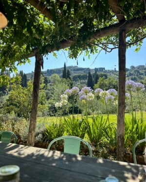 Katherine Kelly Lang Instagram - The most peaceful time of this trip has been spending time with @lucalvani and @alefrenk at their beautiful home in the countryside @legusciane .. we woke up to homemade breakfast. The best avocado toast and eggs I have ever had! I can’t wait to come back and spend more time. Very exclusive and private. We even got to play with the chickens. And catching up with our friends was very special moment for me. Thank you Luca and Alessandro! Love you lots!! ❤️❤️❤️