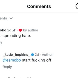 Katie Hopkins Instagram - Come on then you little twatspangles. Let’s be having you.