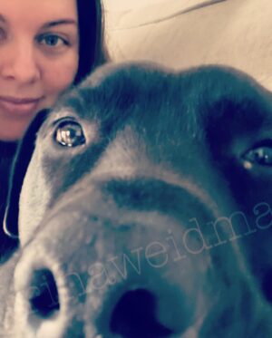 Katrina Weidman Instagram - My dog 🐶 looks like he’s silently signaling for help in every picture I have of us together. For a few examples 👉👉. 

#pitbullsofinstagram #pitbullsofphilly #pitbull #pitmix #pitmom #pitmixagram #tripawd #tripawdsofinstagram #rescuedog #rescuedogsofinstagram #osteosarcomadogs #dramaticdog #batmandog #batmanthedog