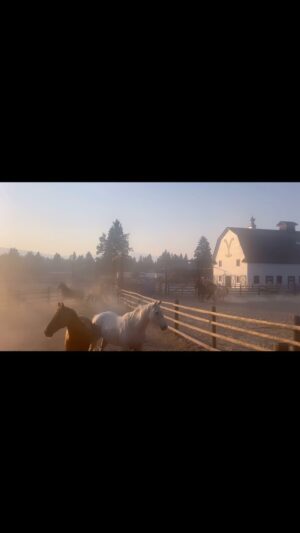 Kelly Reilly Instagram - A few days ago gratitude spilled out of me every direction . The kindness of people . An Eagle circling above just before action was called . A huge pack of Elk with their babies crossing ahead on the way home .The horses feeling the breeze as we walked down the hill. My dog that morning at the lake. My husband making me dinner when I came home bone tired .
The group of people that continue to make this wild show make it with all their hearts and guts , I’m so deeply proud to be running alongside them. 

The rawness and beauty of this years season is really something.  Can’t wait to share it . November . 

@yellowstone 

@christinaalexandravoros and mama 🤍