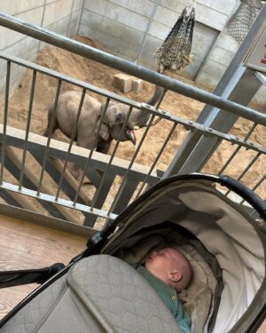 Kendall Rae-Knight Instagram - ZOO DAY🐒🦚🐾🦥