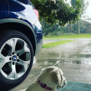 Kerr Smith Instagram - Love sitting in the garage when it rains. Great or ghetto? 🤔 #rain #parkcity #goldenretriever