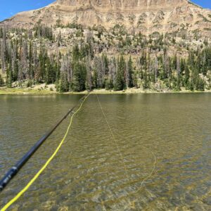 Kerr Smith Instagram - Trout fishing at 10,000 ft. Doesn’t get much better than this. #uintas #wasatch