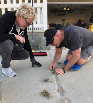 Kevin Cronin Instagram - Hi friends, so normally when the word “weed” appears in a social media post from a rock band, it means someone got busted going into Canada with gummies in their carry-on luggage. But it is 2024, and even though rock and roll will keep us young forever, the times they are a-changin’. The other day, while sweeping sand and generally cleaning up our driveway, and remembering my father’s advice to “always pull out the entire root, or it will grow right back”, I came across the most stubborn weed of my gardening career. I had to pull hard enough to get it out, but not so hard as to tear the top of said weed from its root system. I needed someone with the perfect combination of extra muscle and finesse. Fortunately, my neighbor Patrick @paddywarbucks Warburton stopped by.
You all know Patrick from his “Puddy” character on Seinfeld, his ubiquitous National Car Rental spots, and his voice-over work on Family Guy. I know Patrick as the lovable gentle giant, generous founder of the annual Warburton St Jude event in Palm Desert, all-around good dude, and, come to find out, master weeder!

Try as I might, and having cleared my entire driveway of any unwanted plant life, this weed had me stumped. Warbs got right down to business, and after a brief wrestling match, gave a mighty tug, and out it came … roots and all! One of the finest exhibitions of weed extraction I have ever witnessed. Patrick, Lisa, our mutual friend John “Wolky” Wolk and I then retreated to our local dive, er fine dining spot, for a celebratory dinner, and rewarded ourselves for a job well done. Teamwork at its best.

I left for the road the following morning, and have enjoyed sold-out shows in Brandon/ Jackson, Mississippi and last night in Forrest City, Arkansas. The weather in Oklahoma City is threatening to make things messy for tonight’s sold-out outdoor show. But production manager Michael Richter and the amazing REO road crew are making it happen under tough conditions, as always. And as Matt Bissonette said earlier this afternoon, “Tonight there is a 100% chance of ROCK!” … kc