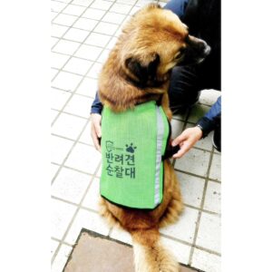 Kim Je-dong Instagram - 탄이가 반려견순찰대에 합격했습니다. 충성!!!