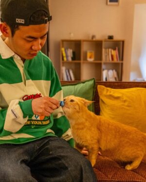 Kim Min-su Instagram - 🐈
📸 @justbelieve92