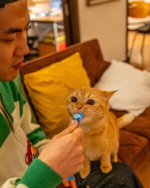 Kim Min-su Instagram - 🐈
📸 @justbelieve92