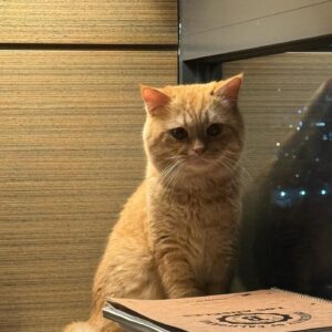 Kim Min-su Instagram - 임자와 나