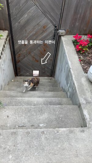 Kim Young-ha Instagram - 